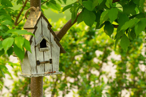 istock Wooden decorative birdhouse is on the tree between green foliage. 1493287601