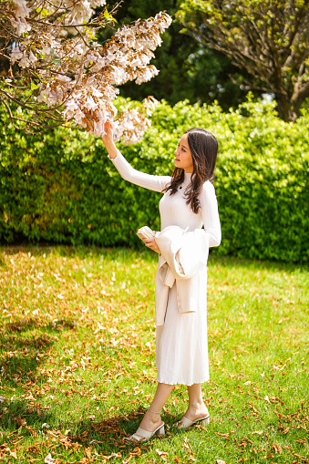 Asian woman raising her arm to touch flowers in white dress under flowering tree in spring . relaxation mode