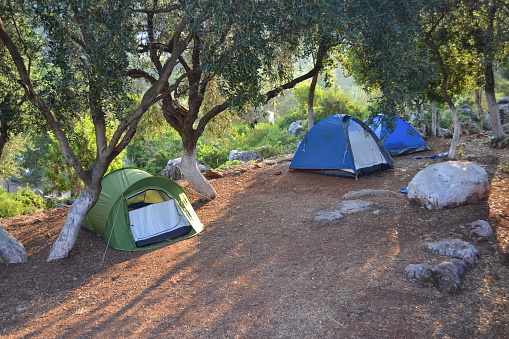 Camping tents in JAL