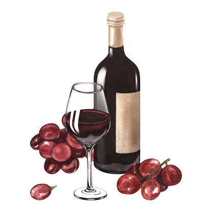 Watercolor illustration of the red wine bottle, wineglass and grape. Picture of a alcoholic drink isolated on the white background. Concept for wine list, label, banner, menu, brochure template