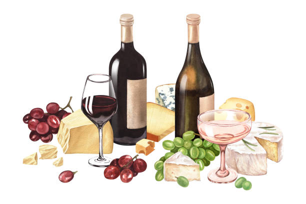 ilustraciones, imágenes clip art, dibujos animados e iconos de stock de acuarela composición vino y queso. botella y copa de vino, uvas y diferentes quesos. ilustración dibujada a mano aislada sobre fondo blanco. concepto para carta de vinos, banner, menú, plantilla de folleto - cheese wine white background grape