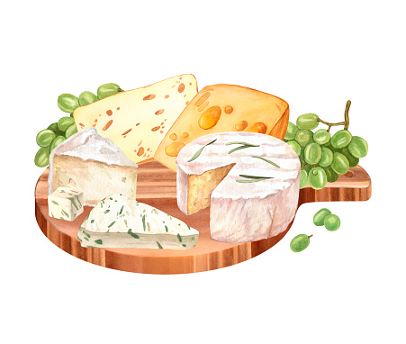 Cheeses with cutted pieces watercolor image and grape on wood board. Creamy cutted brie or camembert cheese illustration. French cuisine milk product. Tasty healthy cream organic snack isolated white.