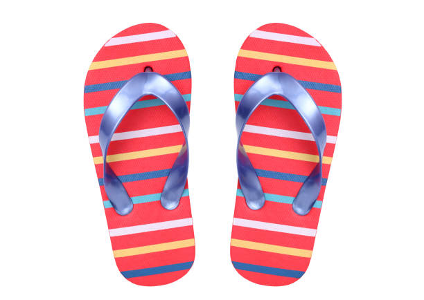 istock Pair of flip flop sandals 1493302567