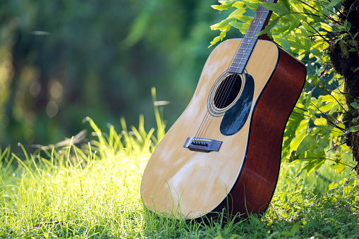 Acoustic guitar outdoors on greenery background. Concept of calm music.