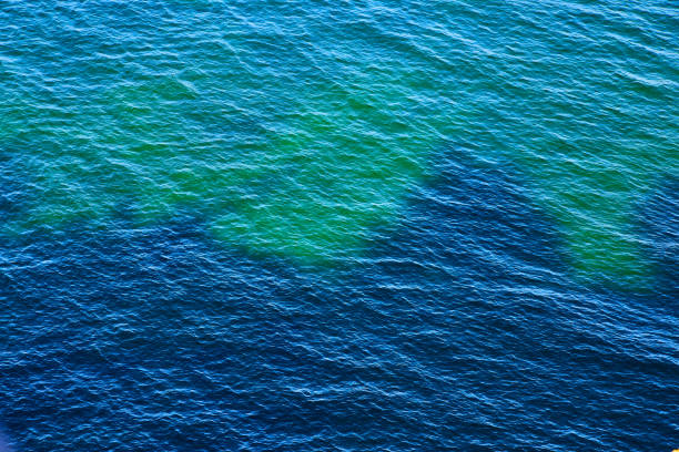 Deep blue waters with ripples on the surface featuring turquoise and light blue water