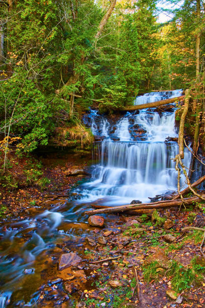 istock Forest woods tiered blue and white waterfall with brook stream and fallen green trees Wagner Falls 1493309948