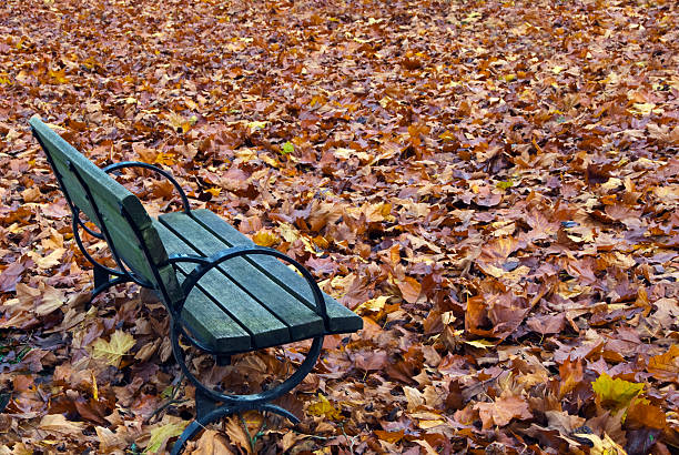 Autumn Bench stock photo