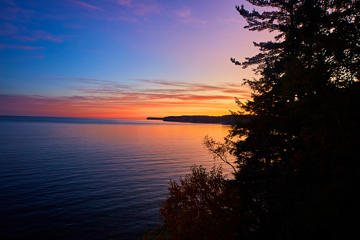 Image of Sunset gold over a great lake with silhouette of a pine tree and a distant peninsula