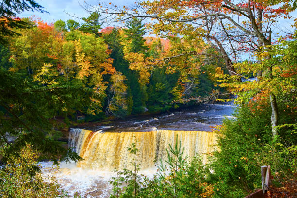 istock Tahquamenon Falls framed by green pine and fall colored aspen tree with gorgeous forest across river 1493311696
