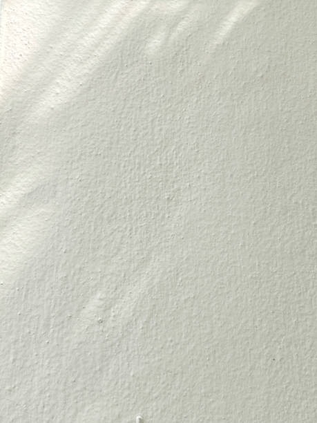 istock Leaves shadow background on concrete wall texture, leaves tree branches shade with sunlight 1493313465