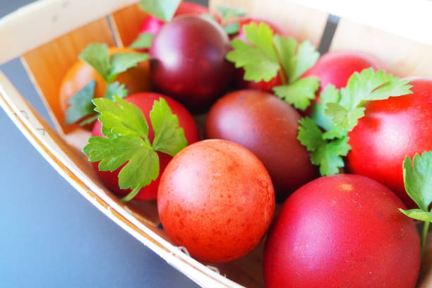 istock Easter basket close-up with colorful eggs. Boiled chicken eggs with red and brown shells, dyed with onion peel according to a traditional recipe. Fresh green parsley leaves. Gray background. 1493326305