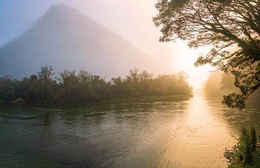 Majestic view of misty morning on Milford Track at sunrise in Fiordland National Park, South Island, New Zealand.