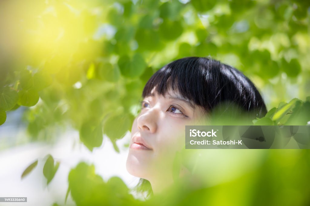 Portrait of woman under the tree, surrounded by green leaves - looking up Women Stock Photo
