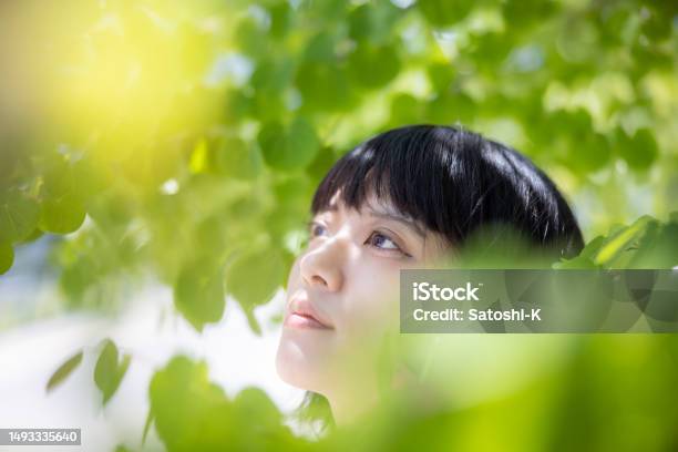 Portrait Of Woman Under The Tree Surrounded By Green Leaves Looking Up Stock Photo - Download Image Now