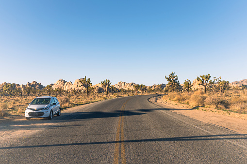 This is a photograph of a Chevy Bolt parked on a scenic road lined with Joshua trees growing in the Mojave desert landscape of the California national park in spring.