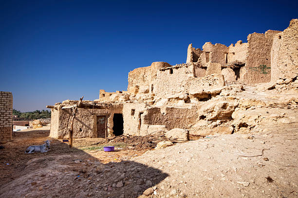 cidade velha de siwa-schali (shali - desert egyptian culture village town imagens e fotografias de stock