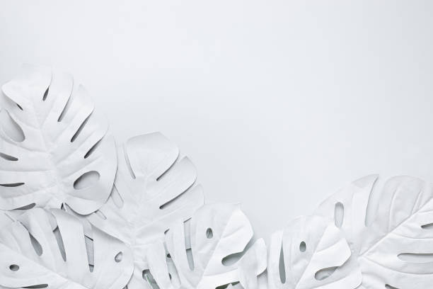 istock tropical leaf,leaves collection for design with white,pastel color.creative and minimal art nature background.decoration pattern 1493374519