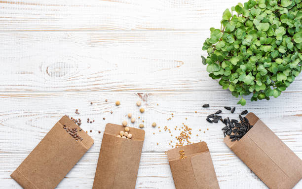 istock Gardening concept, planting at home 1493381139