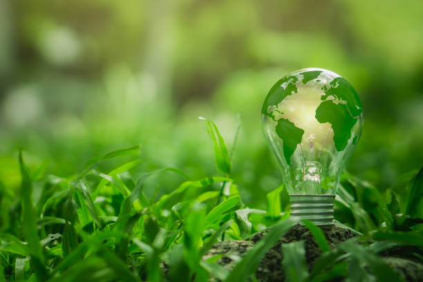 istock Light bulb with green world map on natural backgound represents renewable energy.Green energy,energy saving concept. 1493385480