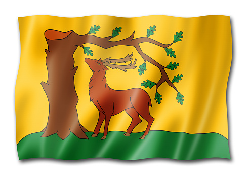 Berkshire County flag, United Kingdom waving banner collection. 3D illustration