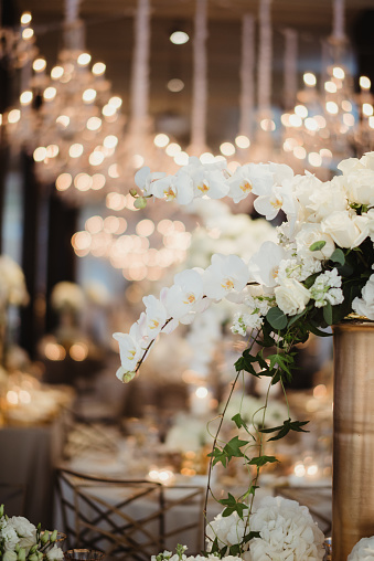 Wedding reception decor for dinner tables with orchid flowers