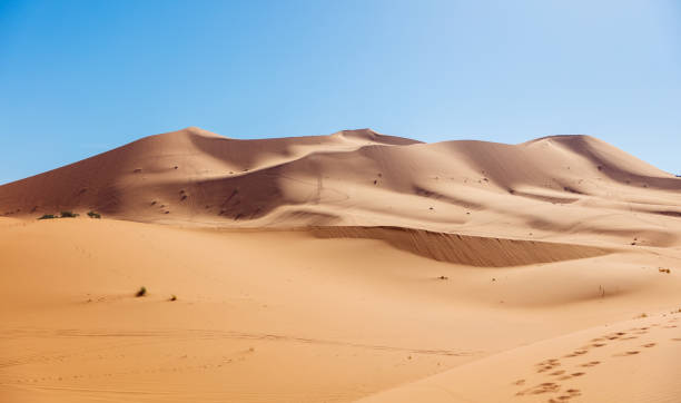 青い空と砂丘の風景 - モロッコの旅行、サハラ砂漠のツアー観光 - desert landscape morocco sand dune ストックフォトと画像