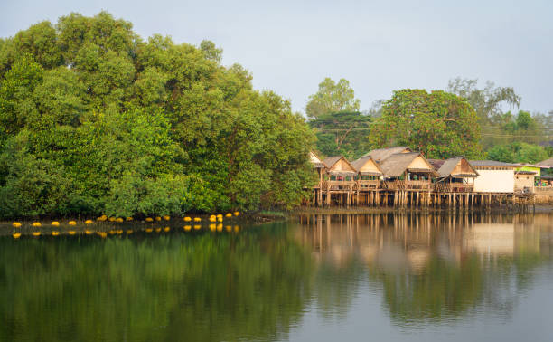 istock Thai wooden huts by the river. River and forest landscape 1493400460