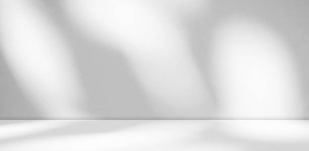 istock Background White Light Shadow Studio Room 3d on Wall Floor Table Product,Abstact Overlay Leaf Plant from Window,Backdrop Minimal Grey Podium Minimal Elegant Loft blur Cement,Empty Minimalist 1493403320