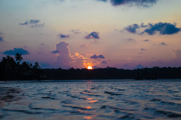 istock Surise on the sea 1493403757