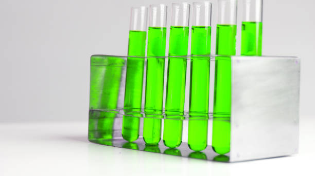 istock science experiment equipment and microscopes for chemistry, biology, microbiology, bacteriology, virology laboratories for scientists, researchers, medical education or pharmacology.medical, clinic. 1493406278