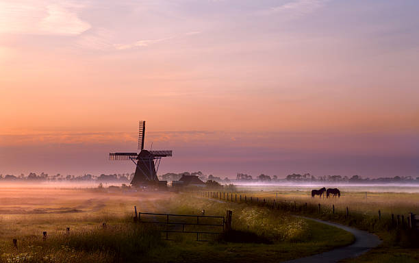 風車にパスチュアの日の出 - netherlands windmill farm farmhouse ストックフォトと画像