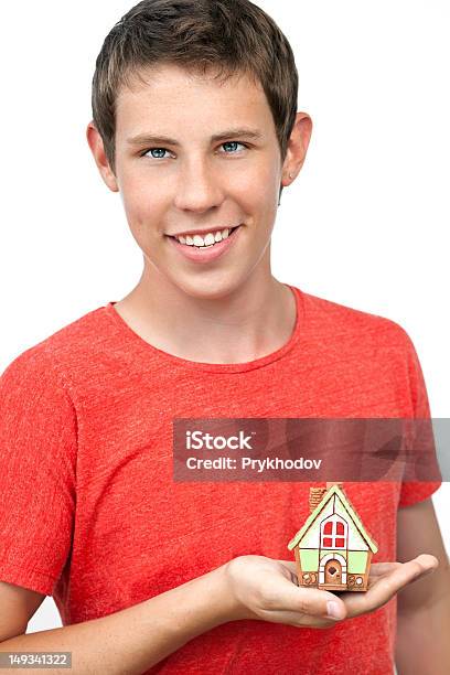 젊은 남자아이 쥠 하우스 굴절률은 손 T 셔츠에 대한 스톡 사진 및 기타 이미지 - T 셔츠, 가정 생활, 건설 산업