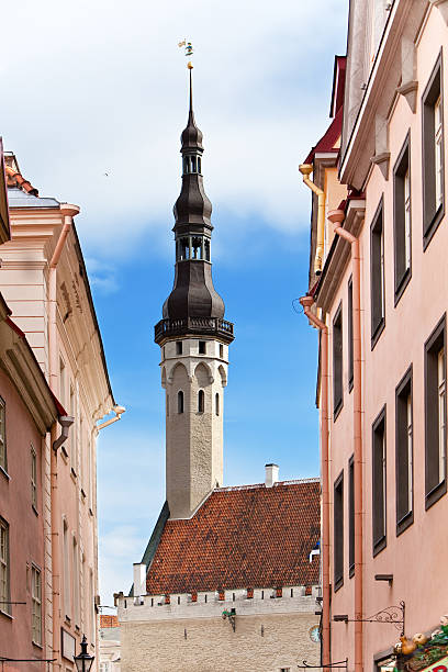 istock weather vane Old Thomas on the Town hall tower.Tallinn 149341326