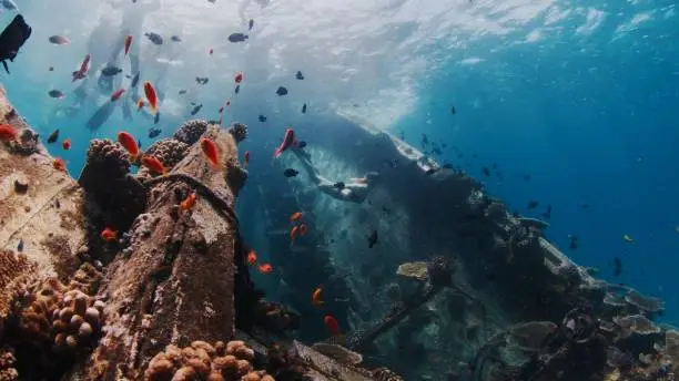 Photo of Woman dives near the shipwreck with corals in a tropical sea in the Maldives