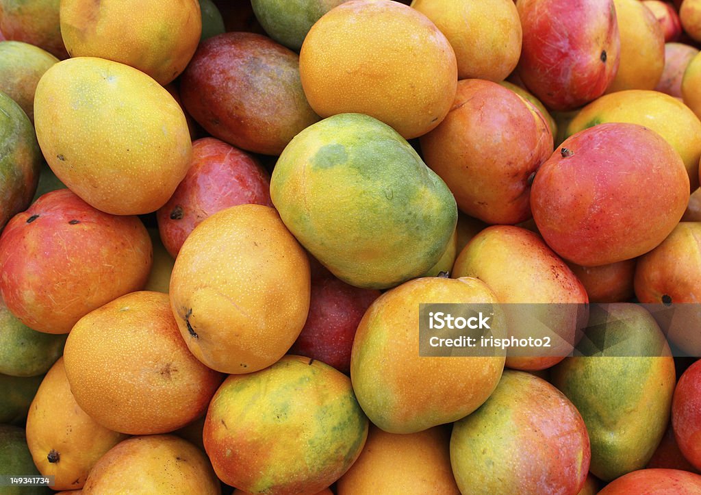 ripe mango fruit ripe mango fruit as agricultural background Mango Fruit Stock Photo