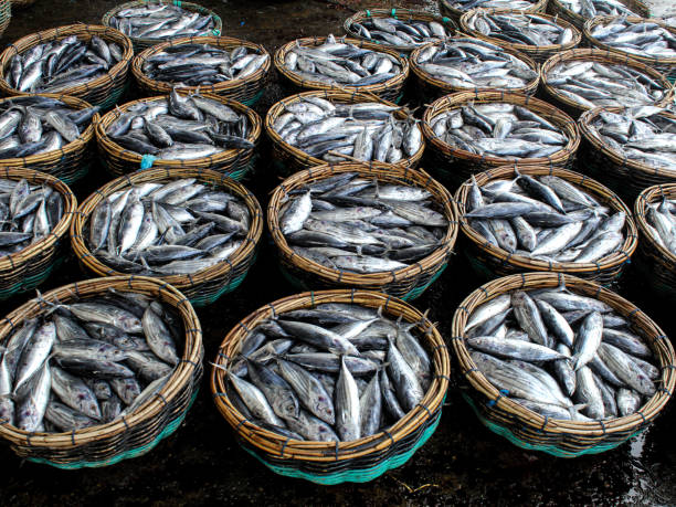 istock Fish in baskets at market 1493418493