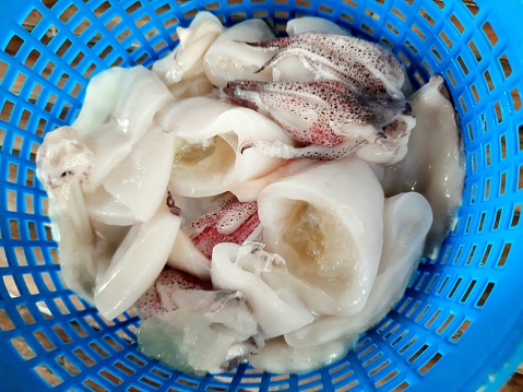 Fresh prepared Squid in basket - food preparation.