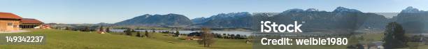 Xxl Panorama Allgäu Schwangau Neuschwanstein Stockfoto und mehr Bilder von Deutschland - Deutschland, Bayern, Brachacker