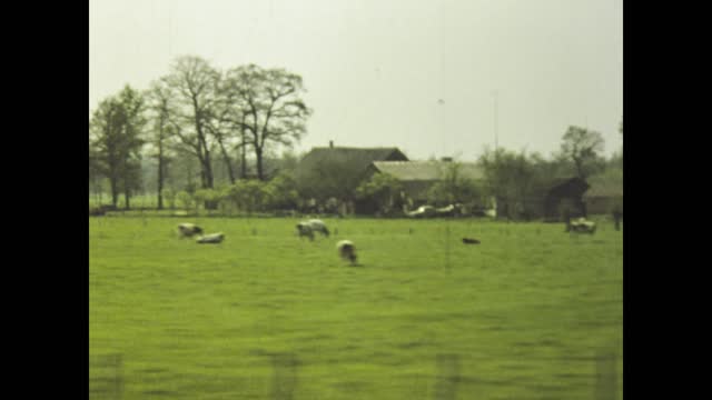 Netherlands 1980, Journey through the Dutch countryside