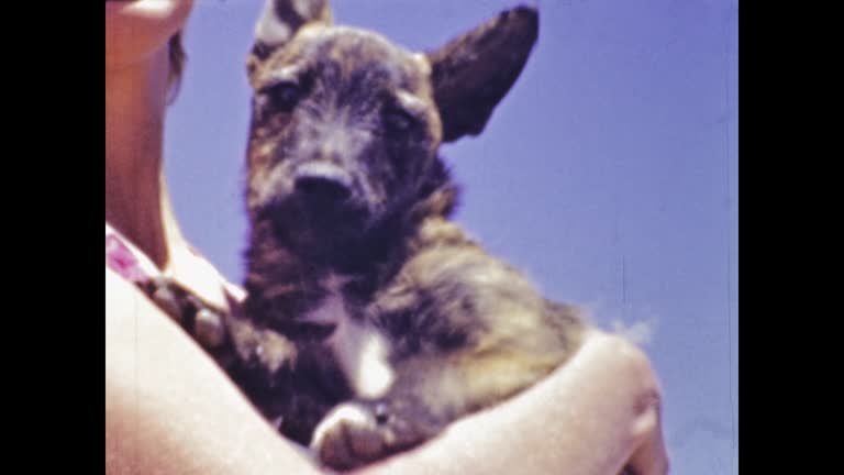 United States 1947, Woman hold dog