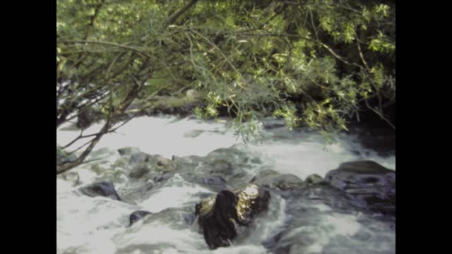 Italy 1984, Torrent flows