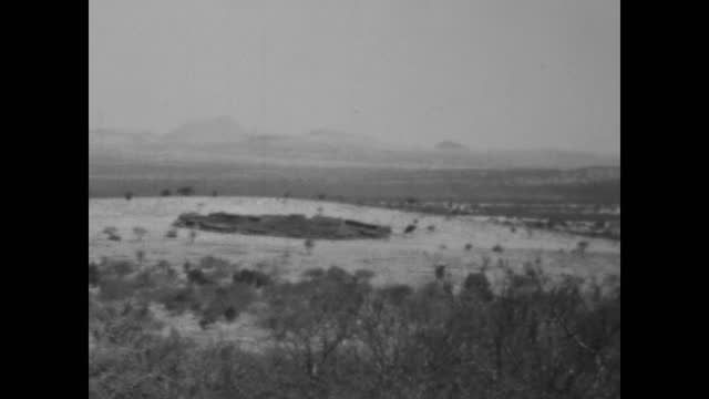 Kenya 1977, Take a journey back in time to the stunning landscapes and wildlife of Amboseli National Park with this vintage black and white footage from the 1960s.