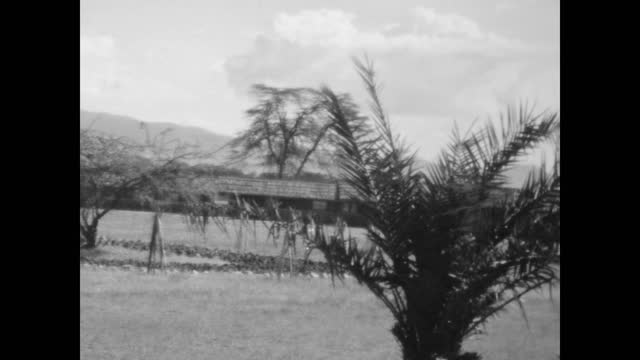 Kenya 1977, Vintage black and white footage of Amboseli National Park, 1960s