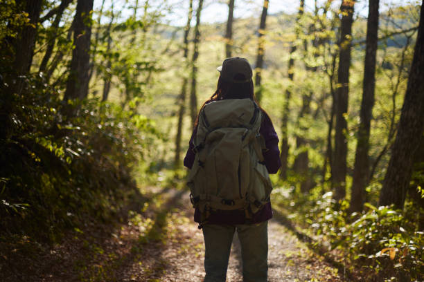 istock Japanese woman enjoy mountain climbing 1493426134