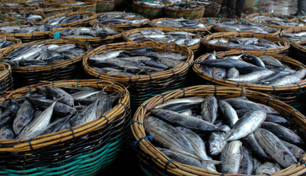 istock Fish stall in a Market, Indonesia 1493426213