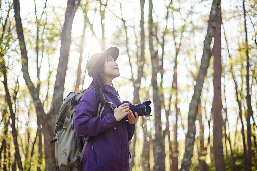 Japanese woman enjoy taking  photos in the forest