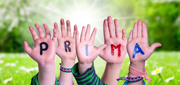 Children Hands Building Colorful German Word Prima Means Super. Sunny Green Grass Meadow As Background.