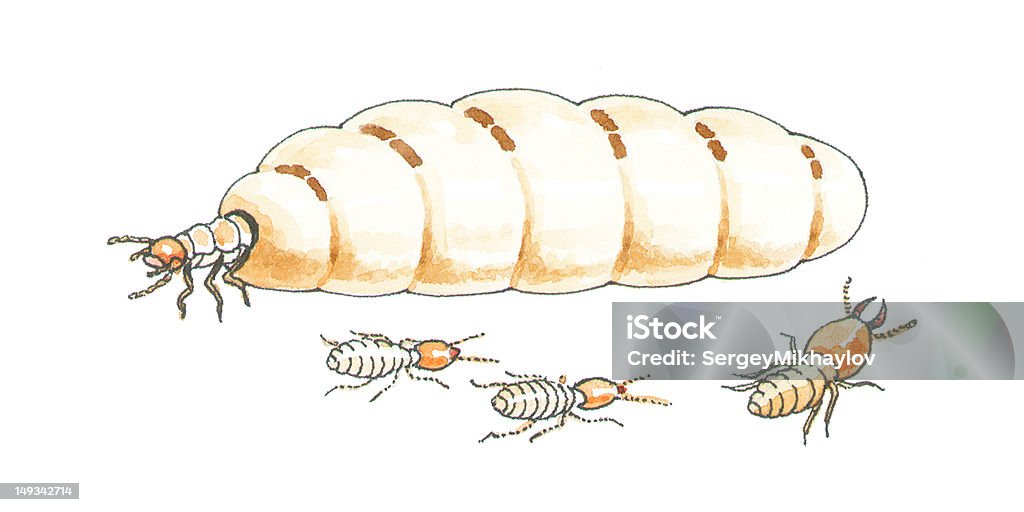 Termita cama queen - Ilustración de stock de Palanquín libre de derechos