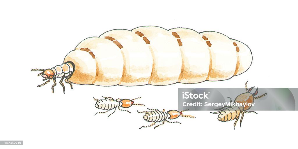 termite grand lit - Illustration de Aquarelle libre de droits