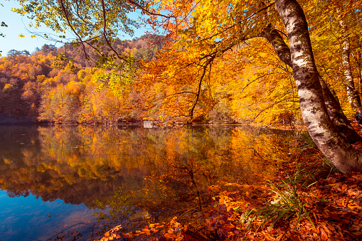 Yedigöller Lake View in autumn